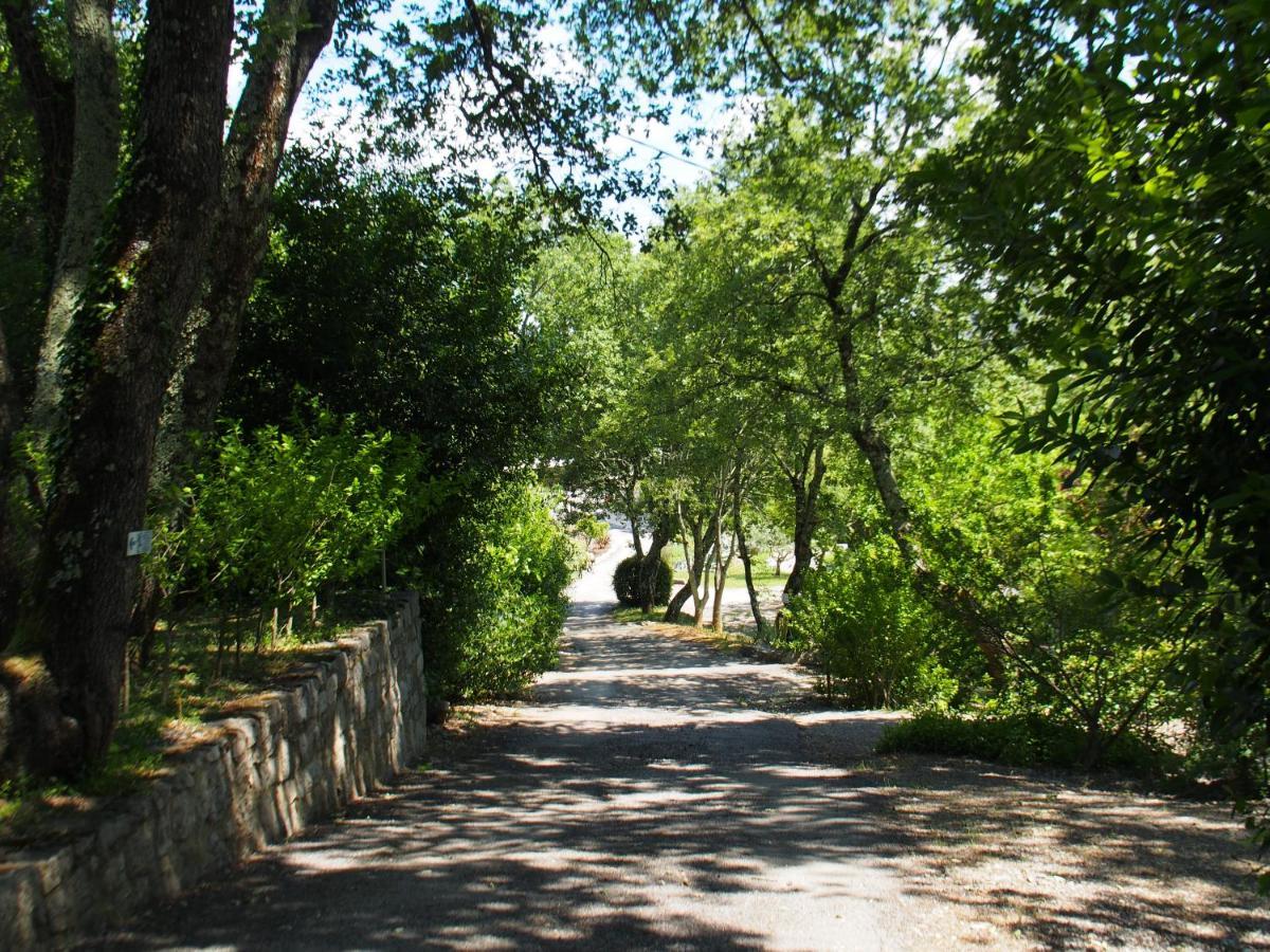 Camping Mas Du Sartre Saint Alban Auriolles Dış mekan fotoğraf