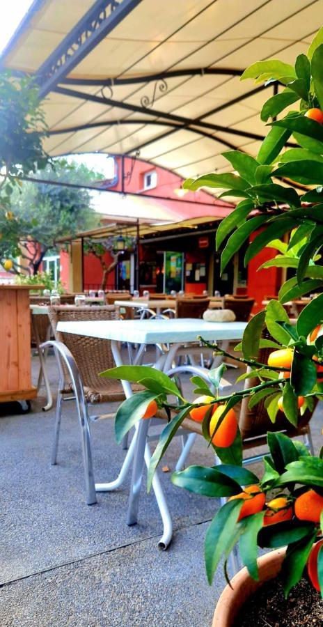 Camping Mas Du Sartre Saint Alban Auriolles Dış mekan fotoğraf